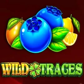 Wild Traces logo – Slots by Amusnet Interactive at Boomzino Casino
